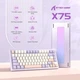Клавіатура Attack Shark X75 White-Purple АЛЮМІНЄВА RGB Підсвічування бездротова - зображення 3