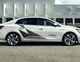 Полосы на авто ARB 3D TUNING STUDIO Рено Клио Меган 1550х490х0.070мм=2штуки - изображение 3