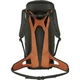 Рюкзак Salewa Alp Mate 36 5671 Uni (100087018) - изображение 2