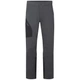 Брюки Rab Ascendor Pants Mns Anthracite 32 (100084243) - зображення 2