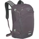 Рюкзак Osprey Nebula graphite/purple heather Uni (100087157) - изображение 1