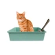 Туалет для кішок Taotaopets 263303-2 Mint Green з лопаткою - зображення 3