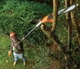 Высоторез BLACK+DECKER PS7525 - изображение 4