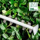 Кусторез Bosch UniversalHedgeCut 50 (06008C0501) - изображение 5