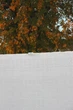 Сетка полимерная Tenax Soleado White белая 1х5м - изображение 4