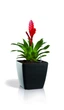 Вазон Plastkon Quadrato Flower Lover 18x18x17см антрацит - изображение 4
