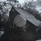 Mitski - The Land Is Inhospitable And So Are We (Раскладная обложка, Альбом) - изображение 7