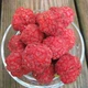 Семена Кудрания триостренная Cudrania tricuspidata (Клубничное дерево), 20 шт - изображение 3