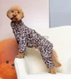 Костюм Dogsbomba велюровий Лео карамель D-245 розмір 3 (2000000101446) - изображение 1