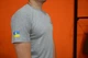 Футболка чоловіча патріотична ЗСУ L сірий - зображення 2