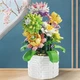 Декоративний конструктор для інтер'єру Luxurious Cactus Серія For You Кактус 1059 деталей - зображення 4