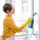 Віконний пилосос Thomas WindowJet 2in1 - зображення 3