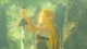 Консольная игра Switch 2 Legend of Zelda: Breath of the Wild, картридж. (644464) - изображение 4