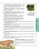 Книга «Тварини. Енциклопедія». Автор - Тетяна Жабська - изображение 4