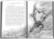 Книга «Крижаний дракон». Автор - Джордж Р. Р. Мартін - изображение 3