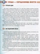 Книга «Мешканці морів та океанів». Автор - Тетяна Жабська - изображение 6