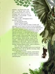 Книга «Пастух цвіркунів». Автор - Мирослав Дочинець - изображение 4