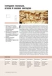 Книга «Історія мистецтва від найдавніших часів до сьогодення». Автор - Стівен Фартінг - изображение 5