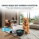 Фонтанчик-поїлка для тварин Cecotec Pumba 2200 Refresh 2 л (CCTC-09561) - зображення 2