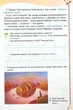 Книга «Читанка 2 клас. Посібник для додаткового та позакласного читання». Автор - Олександра Савченко - изображение 4