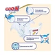 Дитячі підгузки Goo.N Premium Soft розмір 4 (L) (9-14 кг) 2*52 шт - зображення 7
