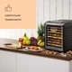 Сушилка/дегидратор KLARSTEIN Fruit Jerky Plus 9 700 Вт (10031936) - изображение 2