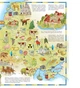 Книга Атлас світу ілюстрований - изображение 12