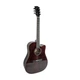 Акустична гітара Toneberg T360-C - зображення 1