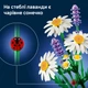 Конструктор LEGO Botanicals Ромашки 133 детали (11508) - изображение 6