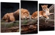 Картина модульна Art Dekors Пара Левів 53x100 см Art-563 3 - изображение 1