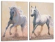 Картина модульна Art Dekors Пара Коней 50х70 см TLV-2 051 - зображення 1