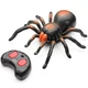 Паук Тарантул Игрушка на Пульте Управления Innovation Tarantula - изображение 2