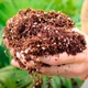 Plagron Cocos Perlite 70/30 50L універсальний кокосовий субстрат - зображення 2