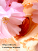 Спрей для тіла Victoria's Secret Velvet Petals Brulee 250 мл - зображення 2
