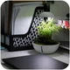 Мінітераріум Chihiros Tiny Terrarium Egg з LED-підсвіткою та керуванням через застосунок - зображення 4