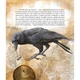 Дитяча книжка "Як зрозуміти тварин" 452155 серія "Відкривай" - зображення 4