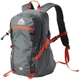 Рюкзак Pentagram IGEAOC 20L, спорт, туризм (3B11A01) Сірий - изображение 1