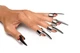 Набор колец с когтями Master Series Five-Piece Sensation Claw Rings - Silver - изображение 1