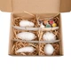 Набір для творчості Гіпсові розмальовки "Розфарбуй овочі" 31000 - зображення 4