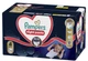 Подгузники-трусики ночные Pampers Night Pants Размер 4 (9-15 кг) 104 шт (8006530320559) - изображение 2