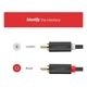 Кабель мультимедійний 2xRCA M to 2xRCA M 1.0m AV104 black Ugreen (30747) - зображення 6