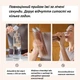 Натуральный протеиновый коктейль Ka'Chava Whole Body Nutrition 15 порций пакет 930 г Чай латте - изображение 2