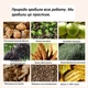 Натуральный протеиновый коктейль Ka'Chava Whole Body Nutrition 15 порций пакет 930 г Чай латте - изображение 3