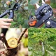 Профессиональный прививной секатор для обрезки и прививки деревьев Professional Grafting Tool ножницы садовые + лента в подарок - изображение 5