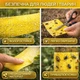 Клейова стрічка-пастка для захисту рослин від мурах та ін. комах (рулон 450×10 см) - зображення 3