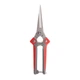 Секатор для винограду 200 мм, INOX, двокомпонентна рукоятка INTERTOOL FT-1015 - зображення 3