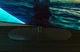Телевізор 65" Philips 65OLED820/12 OLED 4K 144Hz Smart Google TV Black Ambilight - зображення 3