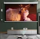 Настенный моторизированный проекционный экран 120” 16:9 |4K, пульт + проводное управление электронный проекционный экран для дома, офиса и обучения 221 × 125 см (YRE17) - изображение 9