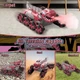Робот динозавр A Toys 2209 трюковая машинка на радиоуправлении 8 колес с паром светом звуком и USB для музыки Красный для детей для активных гонок - изображение 5