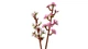 Конструктор Lego Botanicals Цветение вишни 40725 - изображение 4